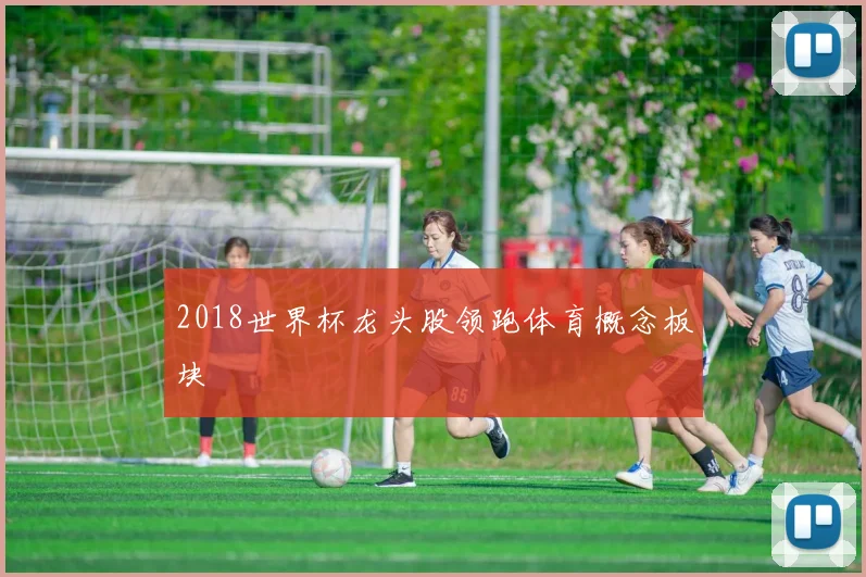 2018世界杯龙头股领跑体育概念板块