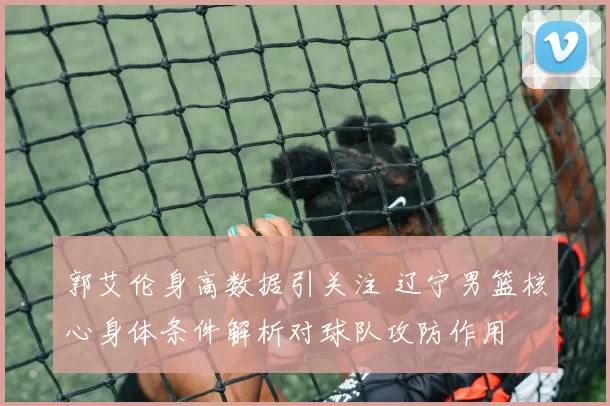 郭艾伦身高数据引关注 辽宁男篮核心身体条件解析对球队攻防作用